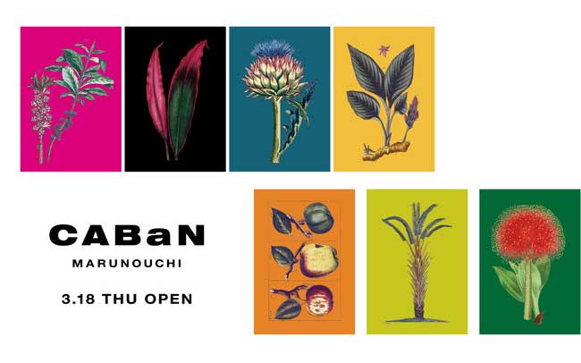 キャバン 丸の内店